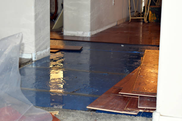 Professional Burst Pipe Water Damage technician working in Ernul, NC
